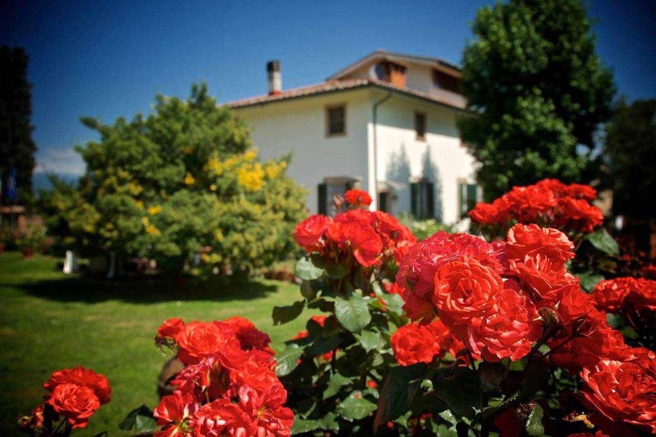 Villa Rossini Lucques Extérieur photo